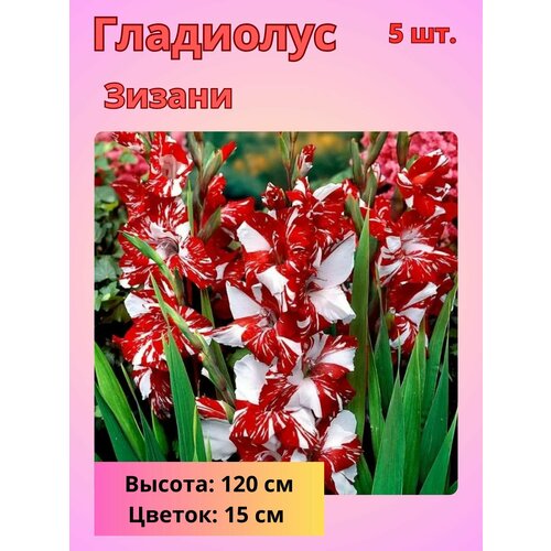 ���������� ��������� ��������������� ������, �������� ����������