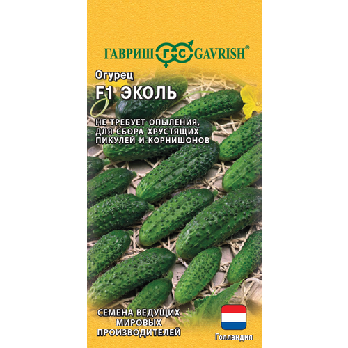 ���������� ������ ������ ����� F1 5�� ������������������ (������)