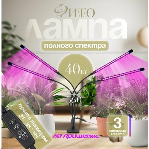 ���������� ��������� ��� �������� ������� �������, 4 �����, �������������� ��� �������, ����� ��� �������� �� ��������