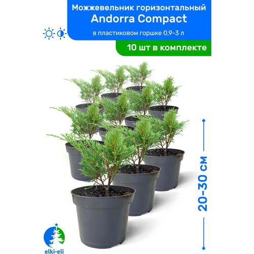   Andorra Compact ( ) 20-30    0,9-3, ,   ,   10   , -, 