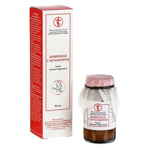 ���������� ���� ������ ������������ �������� � ��������� (��������� �������), 66 �, 30 ��