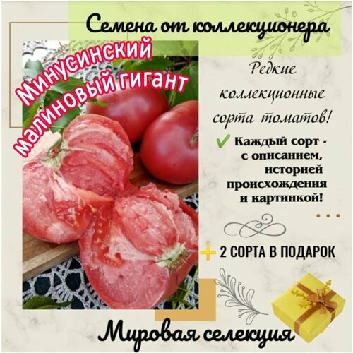 ���������� ����� 