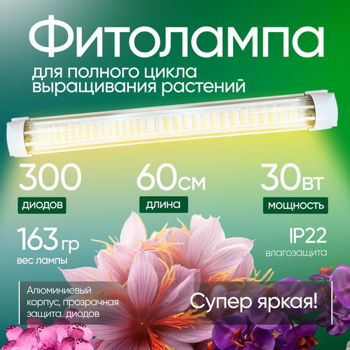 ���������� ��������� ������ ������, 30��, 60��, ����� ����� ����, ������ ���� ����������� ��������