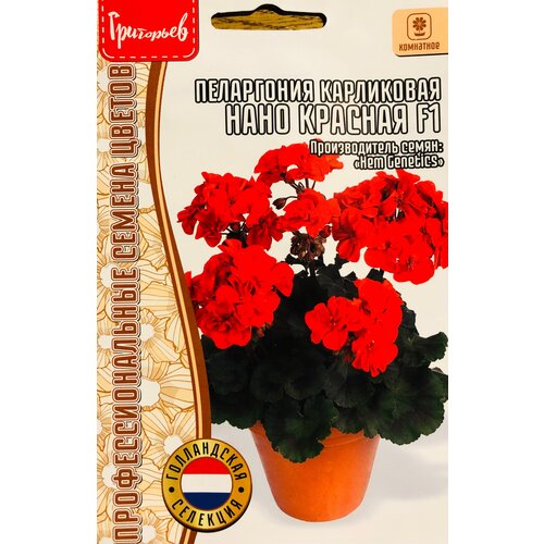 ���������� ������ ���������� ���������� 