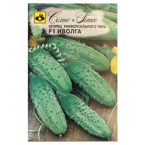 ���������� ������ ������ ������ F1 5�� ������������������ ������ (�����)