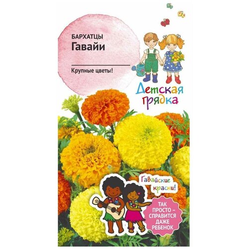 ���������� ������ �������� ������� ������ ������ �� 0,3 �