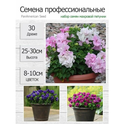 ���������� ������� �������� ����� ���� ������, ����� 3 �����