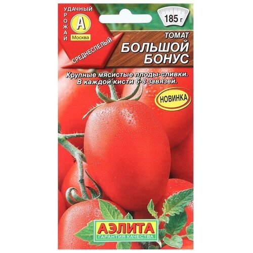 ���������� ������ ����� 