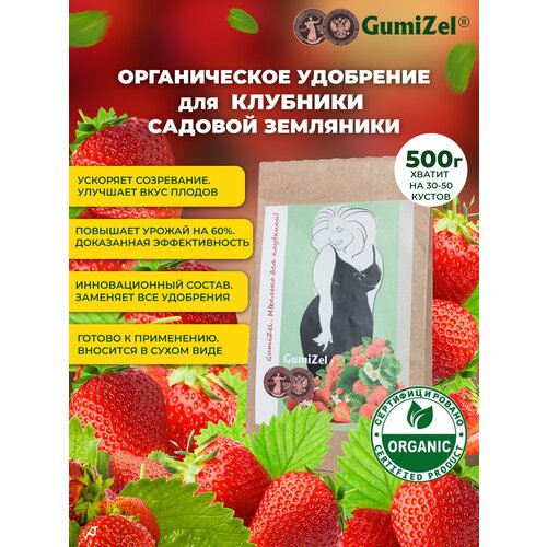 GumiZel     / /   ,      500   , -, 