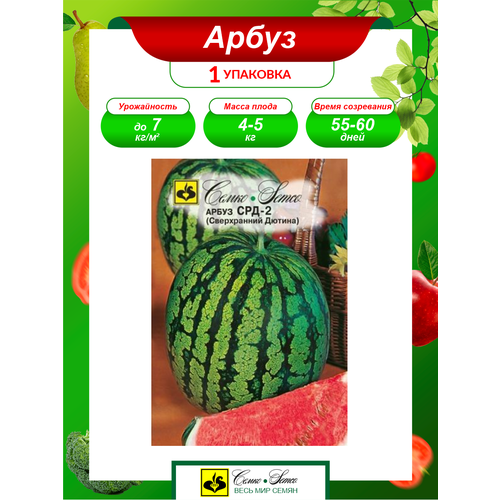 ���������� ������ ����� ���-2 ����������� 10 ��./��.