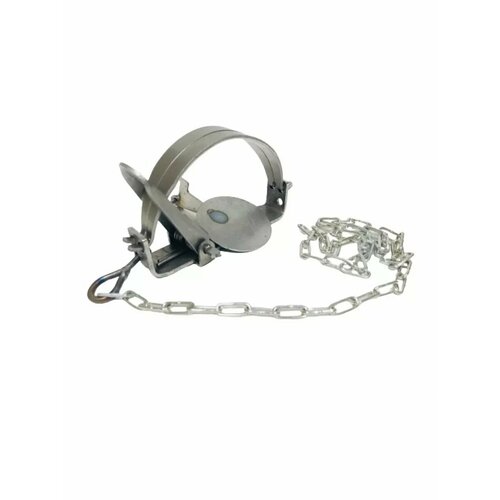 ���������� ������ 