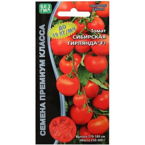 ���������� ������ ����� 