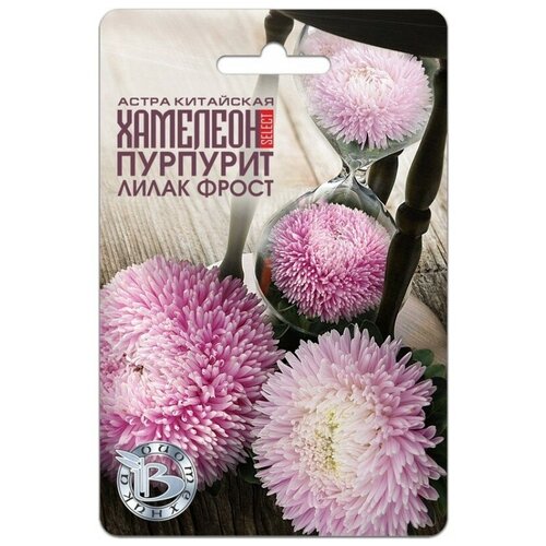 ���������� ������ ����� ��������� �������� SELECT �������� ����� �����