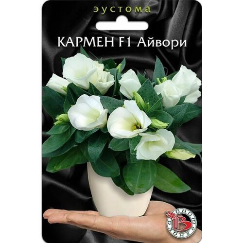 ���������� ������ ������� (����������) ��������� 