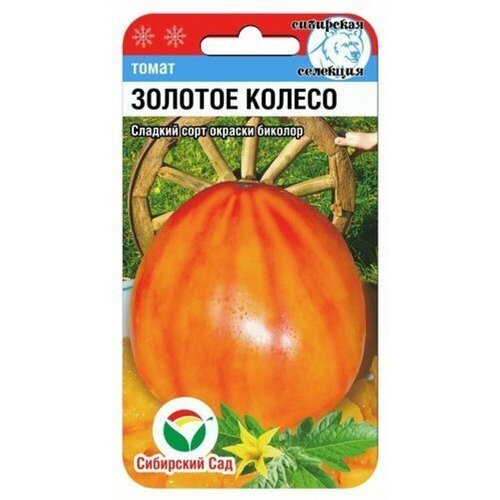 ���������� ������ ����� ������� ������ 20�� ����� (��������� ���)