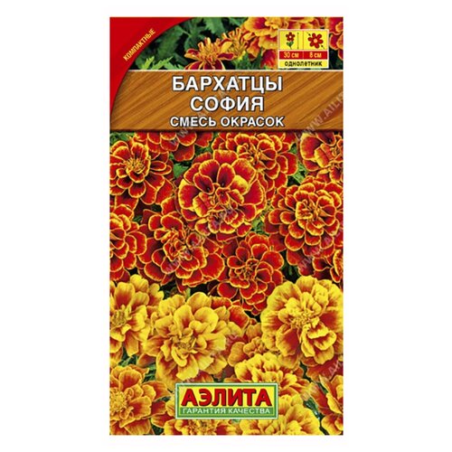 ���������� ������ �������� ����������� 