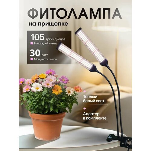 ���������� ��������� �� �������� 2 �����, ��������� , ��������� ��� �������� , ��������� ��� ������� , ������������ ��������� , ��������� ��� ������