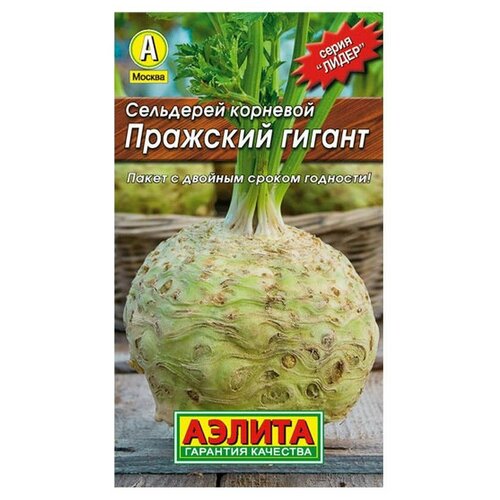 ���������� ������ ��������� ������ ����� ��������� �������� �������� ������ 0.5 �