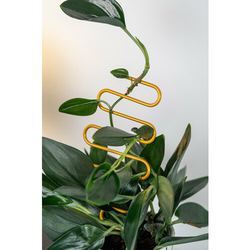 ���������� ����� ��� �������� �������� ������ �������