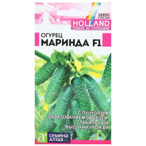 ���������� ������ ������ 