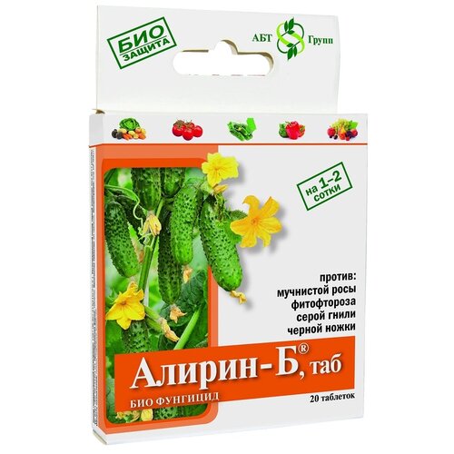 ���������� ����������������� ���-�������� ������-� ���, 20 ��. � 4 �