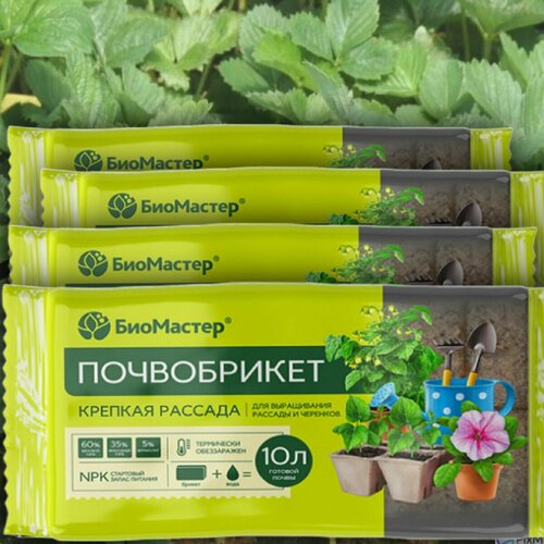 ���������� 40� ����������� ������� ������� 10 �. � 4�� ����� ��� ����������� �������