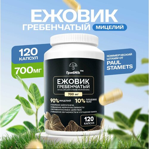 ���������� ������ ����������� Lions Mane ������� ������� 120�� 700��