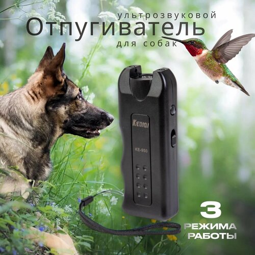 ���������� �������������� ������������ GrekAri ��� �����