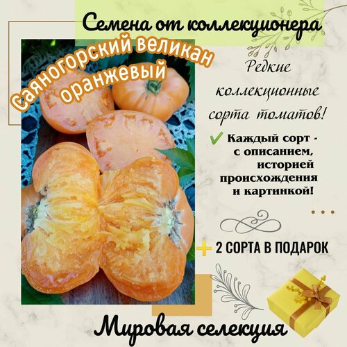 ���������� ����� 