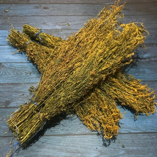 ���������� ����� ��� ���� 