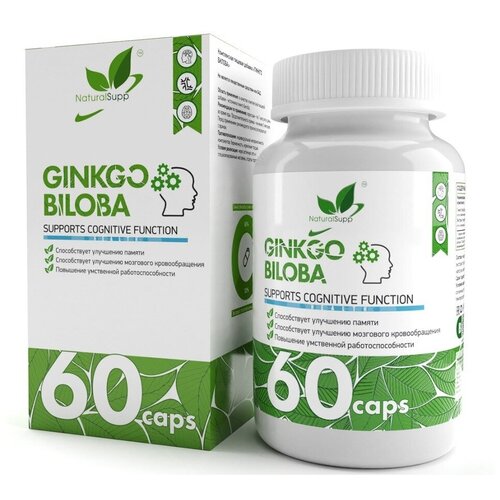  NaturalSupp Ginkgo Biloba, 60 .   , -, 