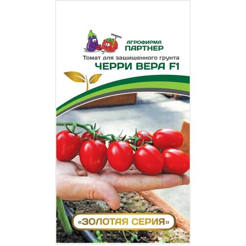 ���������� ������ ����� ����� ���� F1 /��������� �������/ 1 ��������, 5 �����