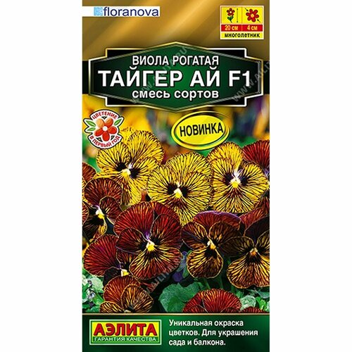 ���������� ������ ����� ������ �� F1, ����� ������, �����������, (������) 5�� ������� �����