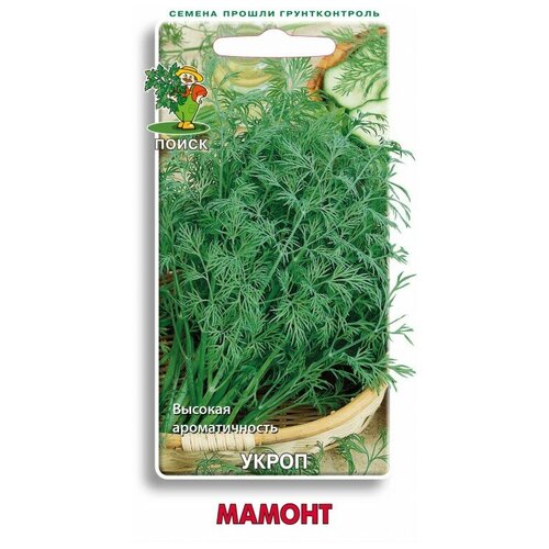 ���������� ����� ������