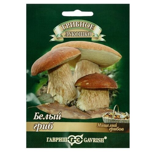 ���������� ������� �� �������� 