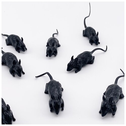 ���������� ����� ��������� 