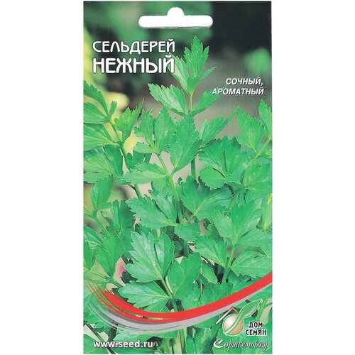 ���������� ��������� �������� ������, 1600 �����