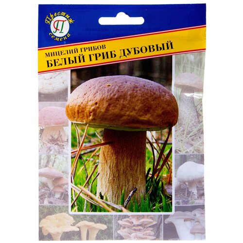 ���������� ������ ���� ����� ��������