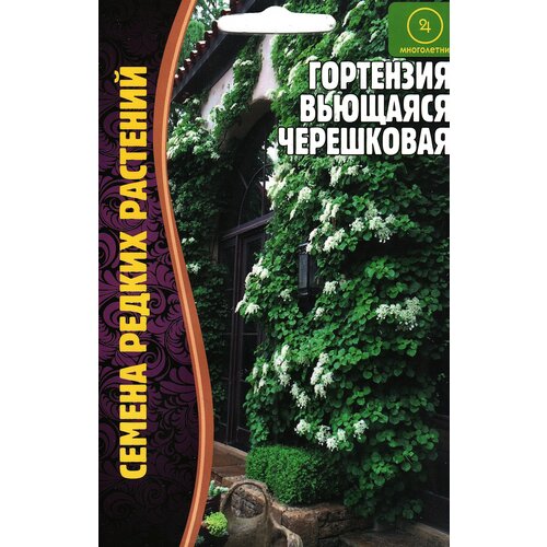 ���������� ��������� �������� ����������, ����������� ( 1 ��: 20 ����� )