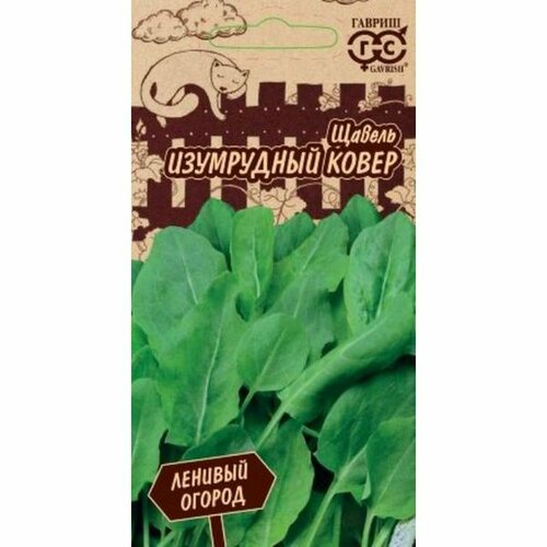 ���������� ������ ������ ���������� �����, �����������, (������) 0,2� ������� ������ �20