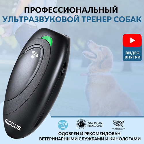 ���������� �������������� ������������/������ �����/������� �������� MODUS �-231 (�������). ������������� ���������� � ������������.