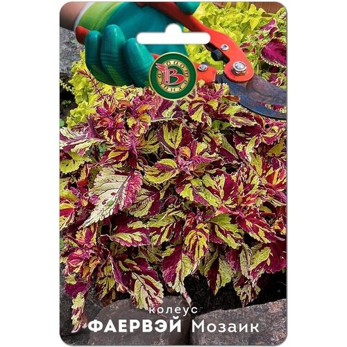 ���������� ������ ������� �����-����������� 