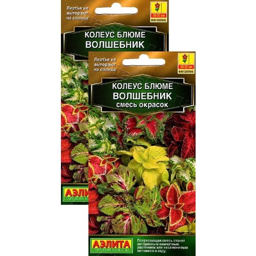 ���������� ������ ����� ��������� ����� ������ (5 �����), 2 ������