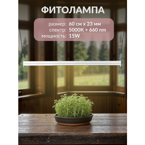 ���������� ���������, ��� �������� � �������, 60��, 15��, ������� ����� ����