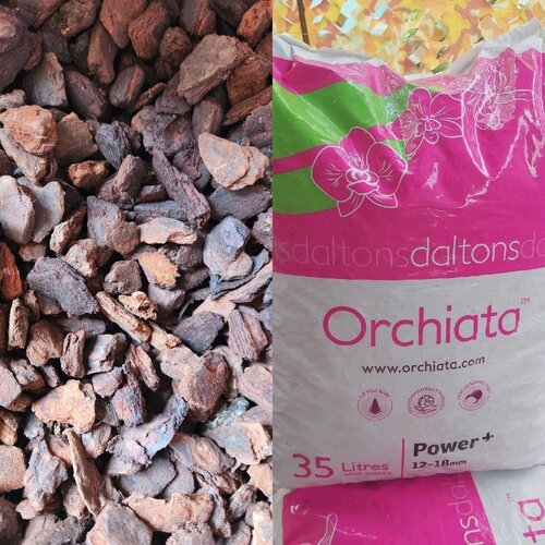 ���������� ������� ����� ����, ������� 12-18�� 2�