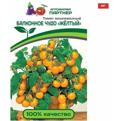 ���������� ����� ����������� ��������� ���� 