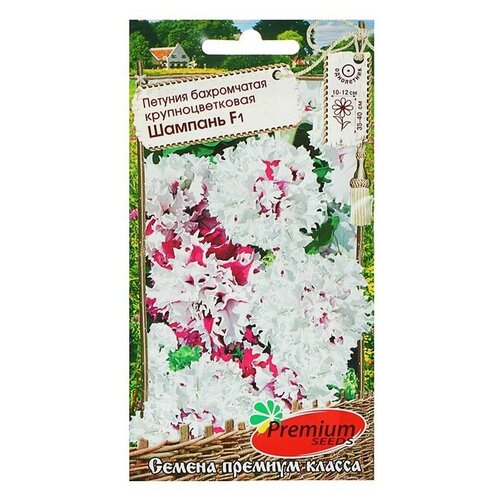 ���������� ������ ������ ������� �����������, ��������������� 