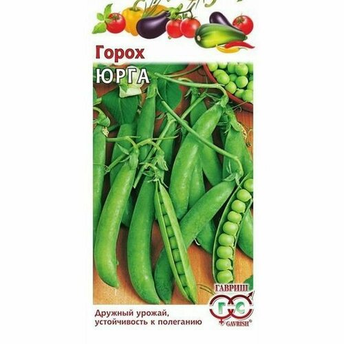 ���������� ������ ����� ���� (������) 10�