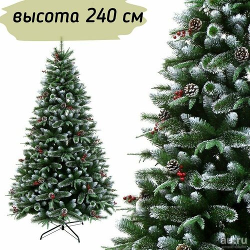 ���������� ������������� ���������� ���� ����������� � ������� � �������, �����+ ���, ������ 240 ��