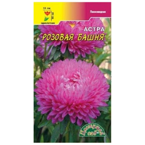 ���������� ������ �������� ��� 